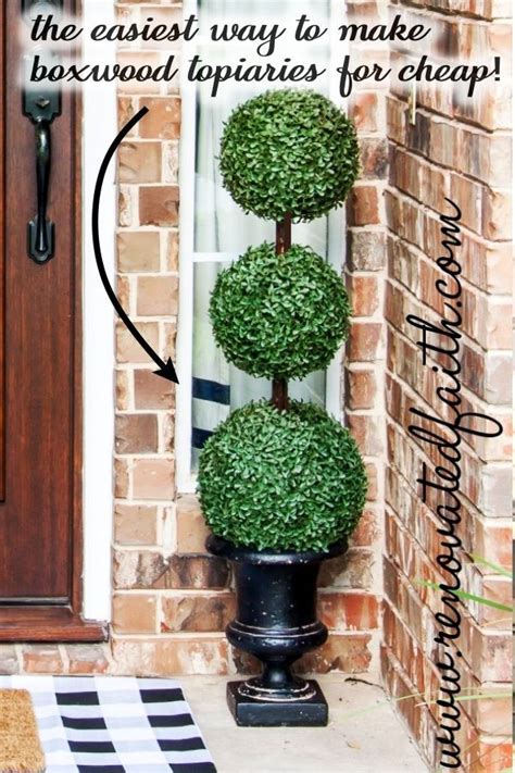 Topiary Balls Ideas - Garden Plant