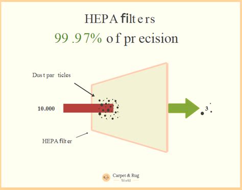 HEPA Filters Types. (Everything You NEED to Know!) – Carpet and Rug World