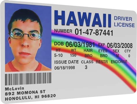 Superbad McLovin ID Card Fake Novelty Driving License ID Replica ...