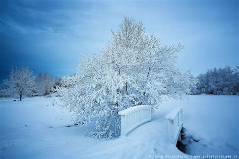 The snow is finally here ** | Guide to Iceland