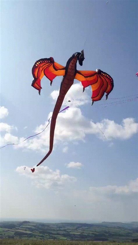 This giant dragon kite is too cool | Dragon kite, Kite designs, Kite