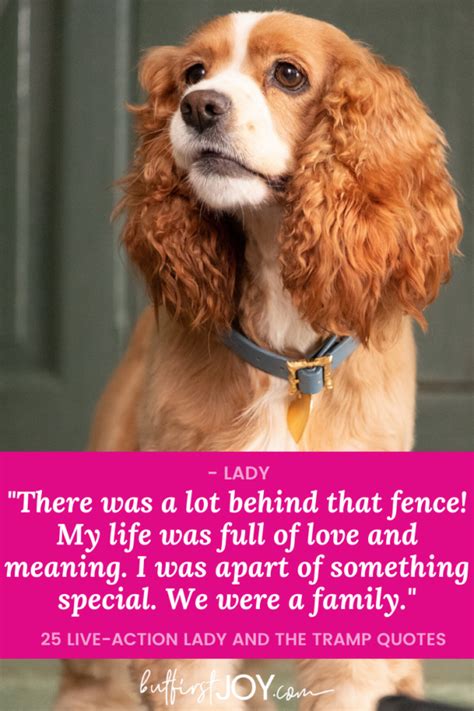 25 Best Live-Action Lady and The Tramp Quotes (Disney+) - But First, Joy