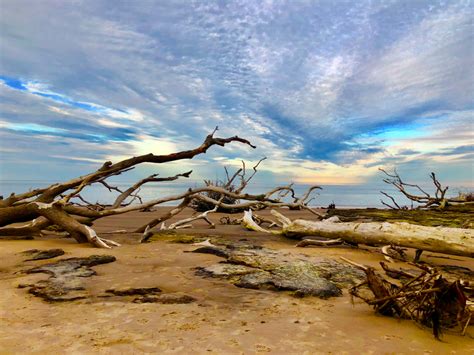 Boneyard Beach | Florida State Parks