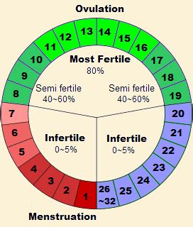 Ovulation: Signs and Symptoms, And How to Calculate For Your Safe And ...