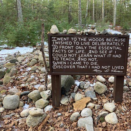 Walden Pond State Reservation (Concord) - 2020 All You Need to Know ...