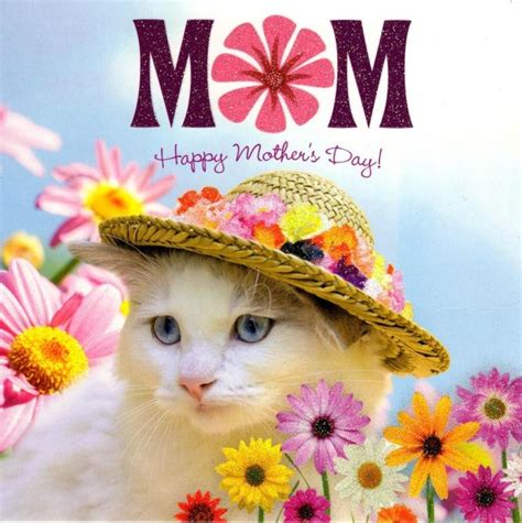 Mum Cat Happy Mother's Day Flittered Card | Cards | Love Kates