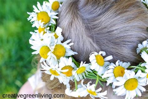 How to Make a Daisy Flower Crown with Real Flowers | Creative Green Living