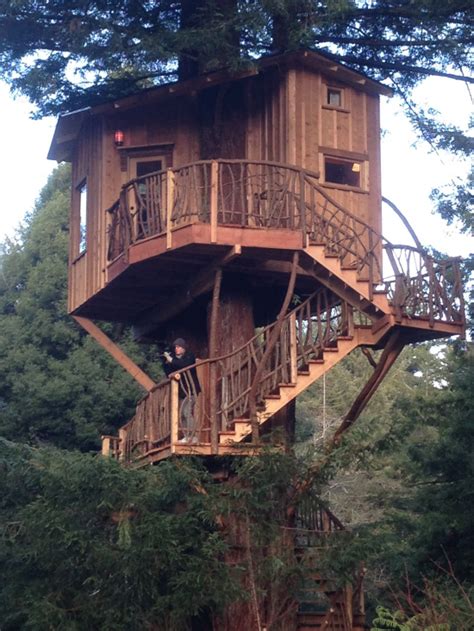 Redwood Treehouse | Buy Redwood