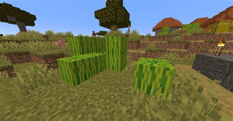 How to Find Melon Seeds in Minecraft: 8 Different Places