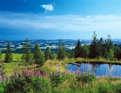 Bavarian Forest National Park | tourism # bavarian # forest # national ...