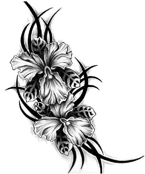 Free Hawaiian Flower Designs, Download Free Hawaiian Flower Designs png ...