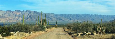 Baja Road Conditions