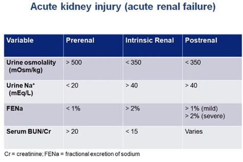 Renal First Aid Flashcards | Quizlet