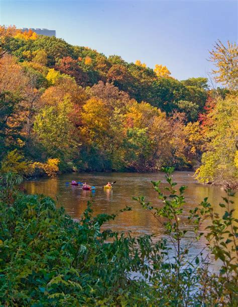 Huron River Watershed Council Pick Your Own Pumpkins, Michigan Road ...