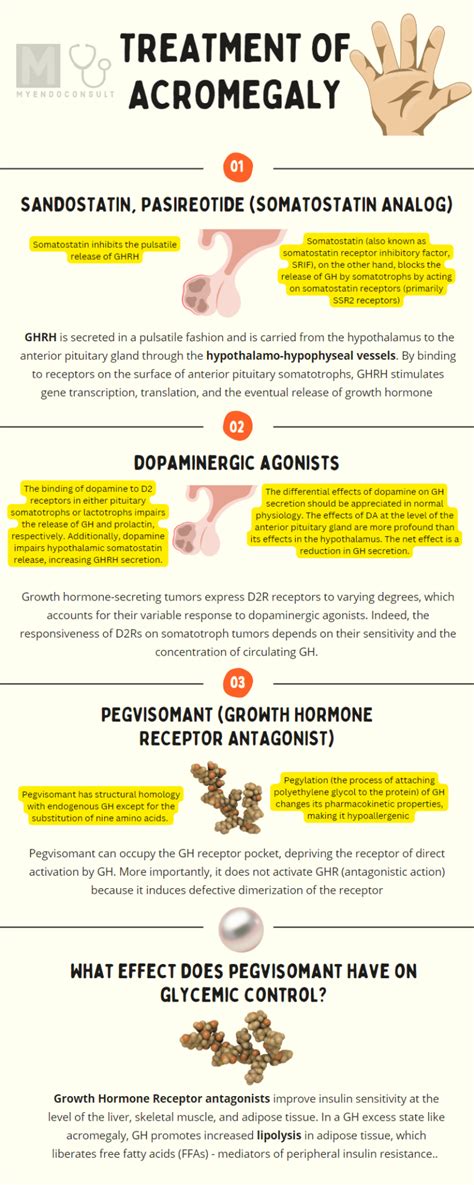 Acromegaly: Diagnosis And Treatment - My Endo Consult