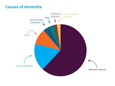 Common Cause of Dementia - Alzheimer's Disease