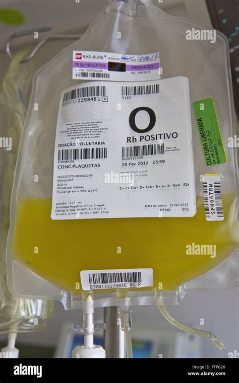 Platelet Transfusion High Resolution Stock Photography and Images - Alamy