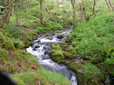 THE 10 BEST Things to Do in Tywyn (2024) - Must-See Attractions