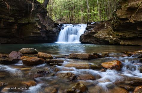 A Breath of Fresh Air | Loyalsock State Forest, PA | Michael Greene's ...