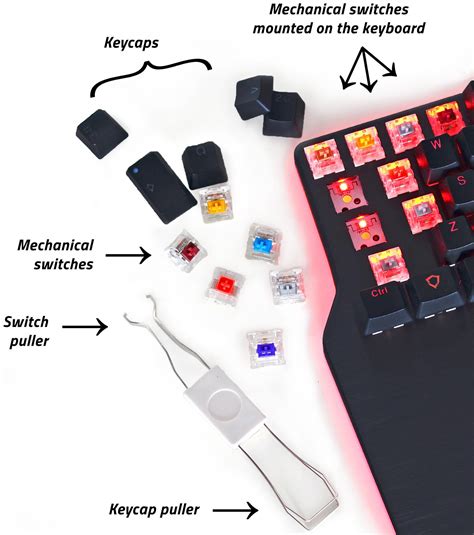 The ultimate guide to mechanical keyboard switches for 2020 – Dygma