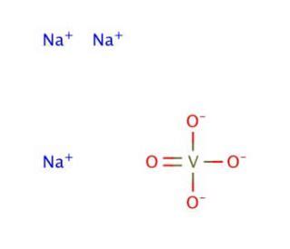 Sodium Orthovanadate | CAS 13721-39-6 | SCBT - Santa Cruz Biotechnology