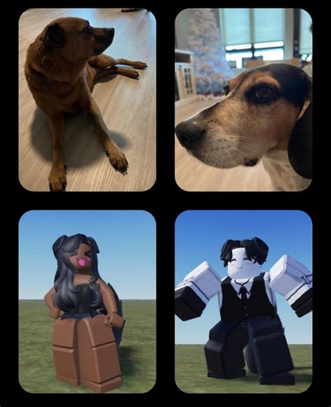 A strange post but yeah. I made my dogs on roblox (why? I was bored) : r/RobloxAvatars