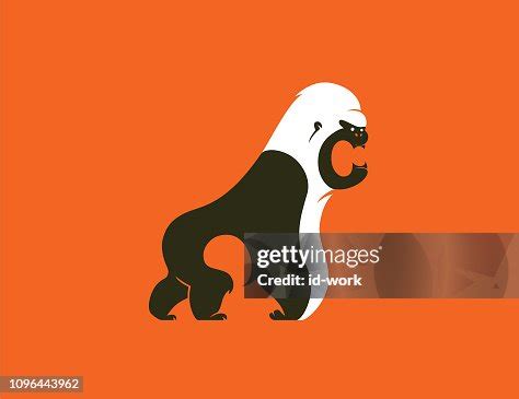 Angry Gorilla Screaming High-Res Vector Graphic - Getty Images