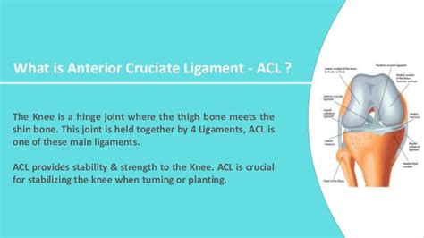 ACL surgery in India | ACL surgery cost in India