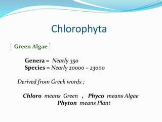 General Account of Chlorophyta & Charophyta | PPT