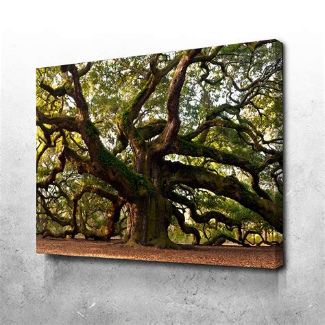 Charleston Angel Oak Canvas Set – Legendary Wall Art