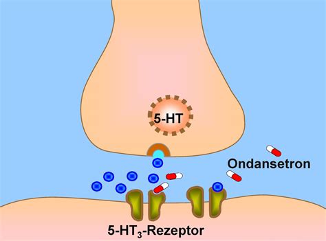 7.5 Antiemetic – Nursing Pharmacology