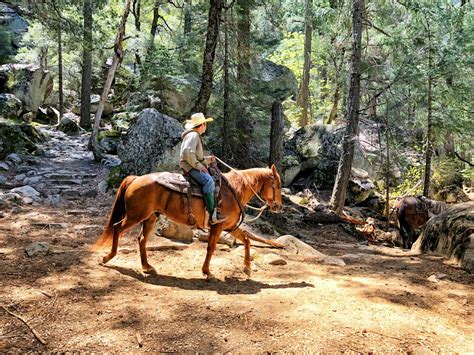 9 Top Places to Go Horseback Riding in California