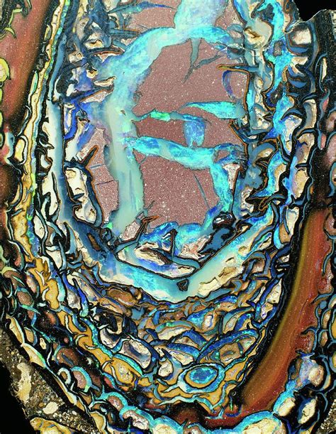 Boulder Opal Formation Photograph by Natural History Museum, London/science Photo Library - Fine ...