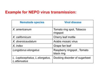 Nematode virus interaction | PPT