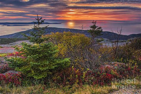 Acadia National Park Sunrise Photograph by Priscilla Burgers - Fine Art America