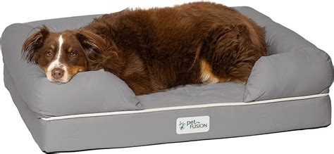 The Best Orthopedic Dog Beds