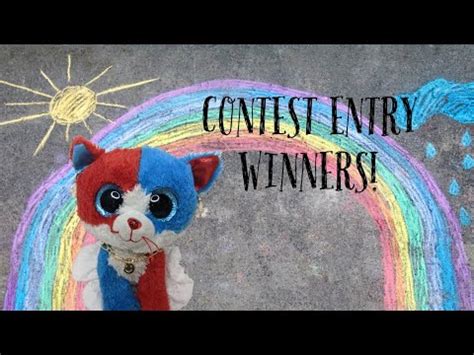 Beanie Boo Custom Contest! (Winners) - YouTube