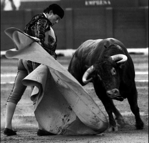 A guide to traditional bullfighting techniques – BullBalcony