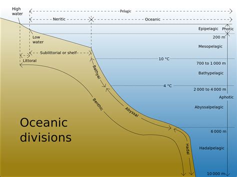 Deep Sea - Sea Physiology