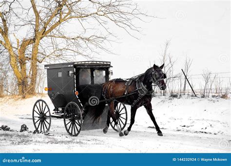 Amish Horse And Buggy Royalty-Free Stock Image | CartoonDealer.com ...