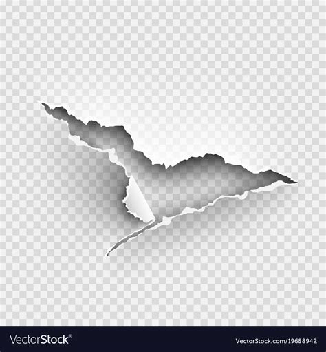 Hole torn in ripped paper on transparent Vector Image