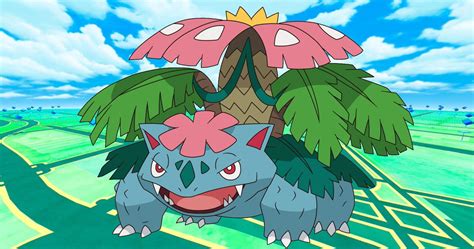 Mega Evolution Of Venusaur Charizard - PELAJARAN