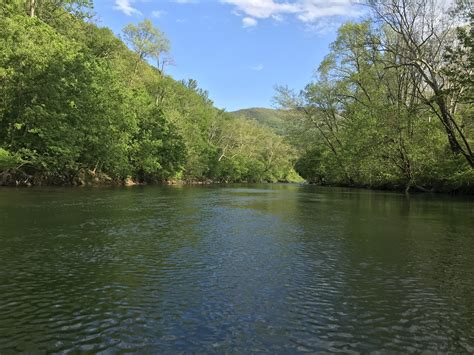 The Shenandoah River in the afternoon sun. : r/Virginia