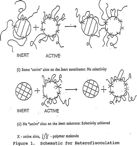 Flocculation & Lewis Acid-Base Theory