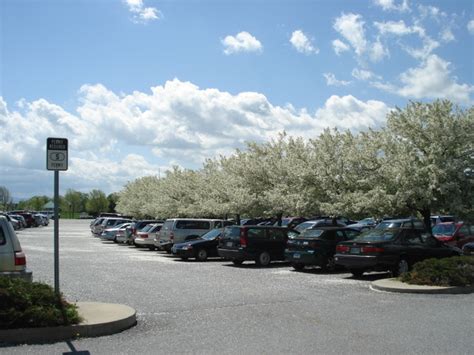 The Middlebury Landscape - Most Beautiful Parking Lot, Ever.