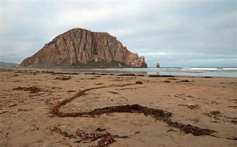 Morro Rock City Beach in Morro Bay, CA - California Beaches