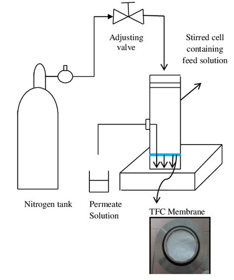 Schematic diagram of the membrane filtration apparatus. | Download ...