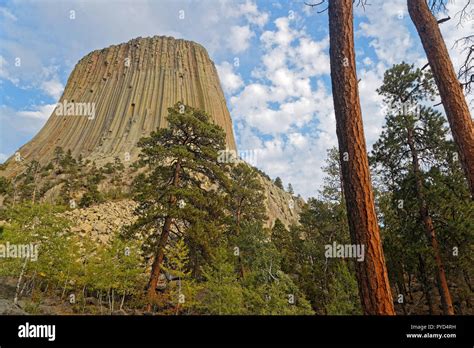 Devils Tower summit seen through the trees Stock Photo - Alamy