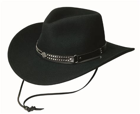 Cowboy Hats for Men - Tag Hats