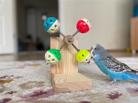 6 Budgie Toys Your Parakeet Will Love To Play With - Psittacology